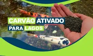 Pra que serve carvão ativado para lagos