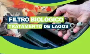 Filtro Biológico para Tratamento de Lagos