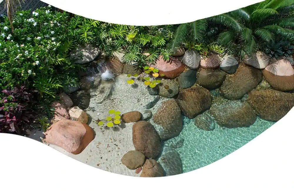 Projeto Piscinas e Lagos Biológico