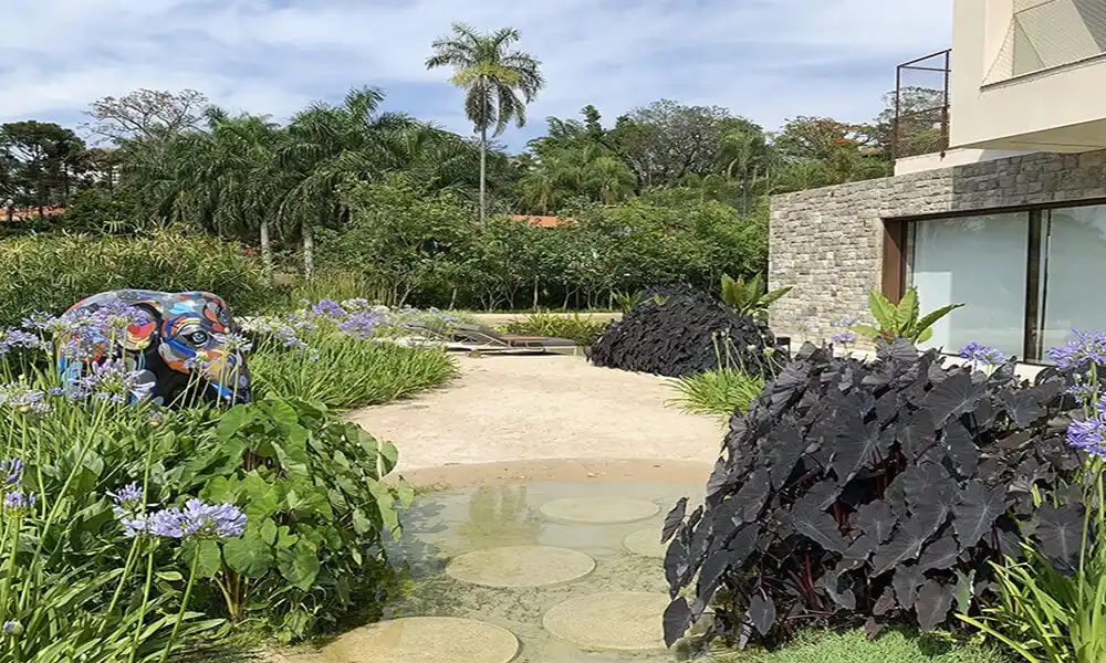 Piscina Natural Garden Center