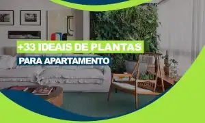 Plantas para apartamento pequeno