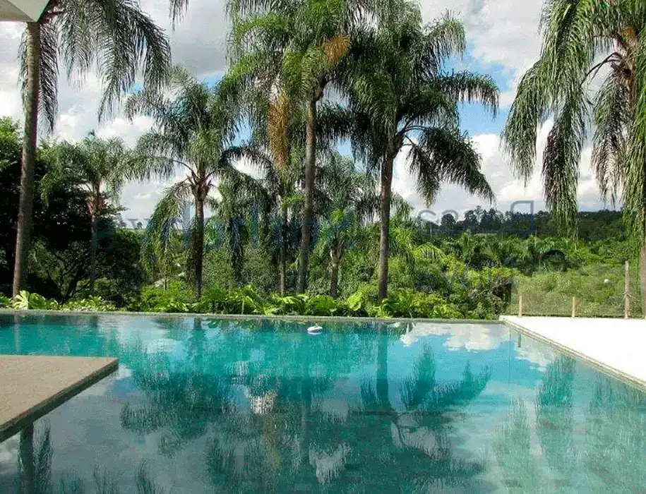 Piscina borda infinita com plantas e arvores no entorno da decoração