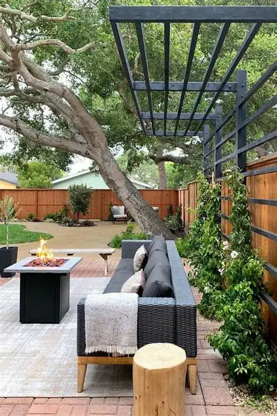 plantas trepadeiras crescendo no pergolado