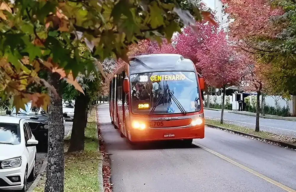 paisagismo urbano nas canaleta de curitiba