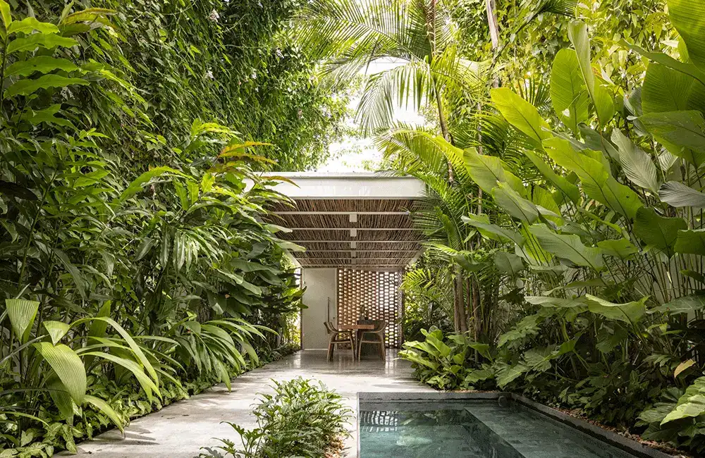area da piscina com revestimento cimenticio cheio de plantas em volta