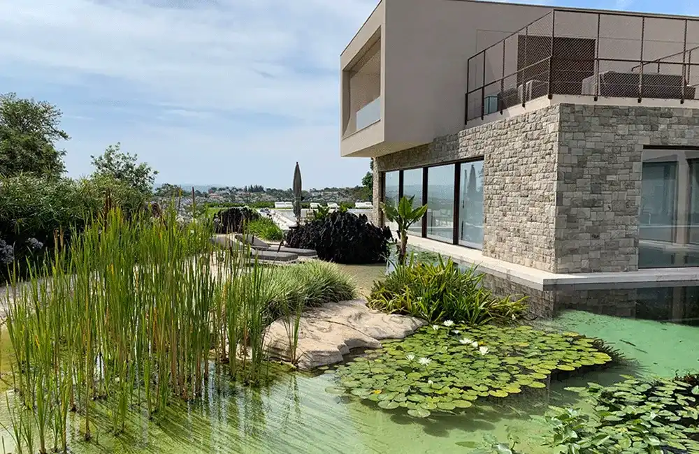desvantagens da piscina natural