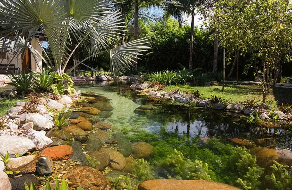 pedras para piscina natural imagens