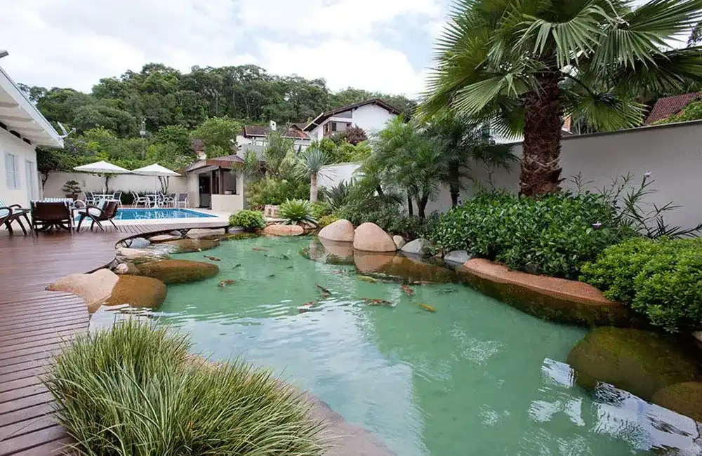 plantas aquaticas 