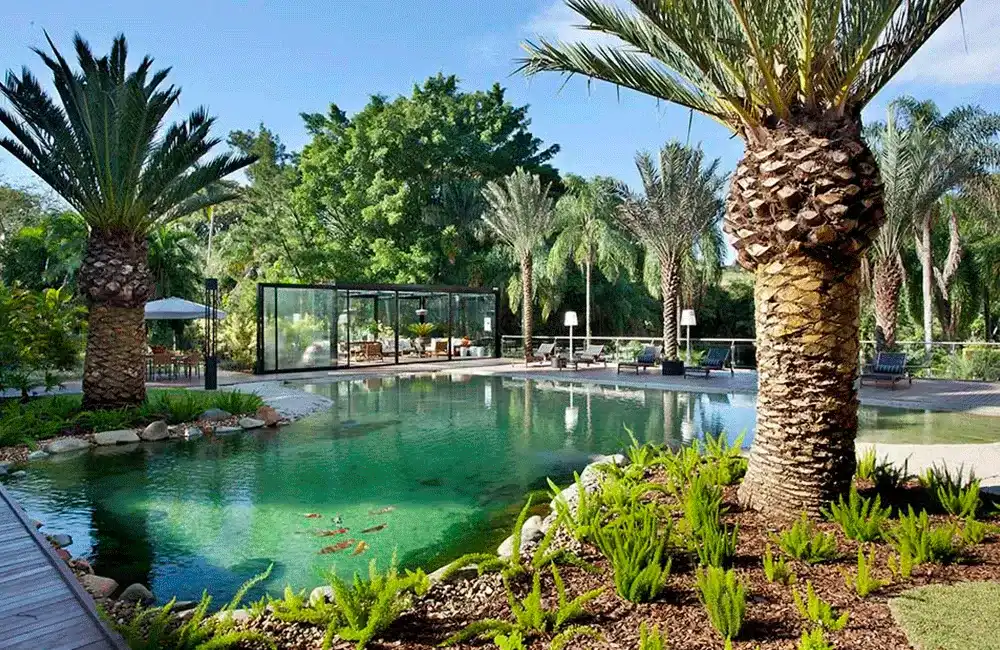 piscina natural com palmeiras 
