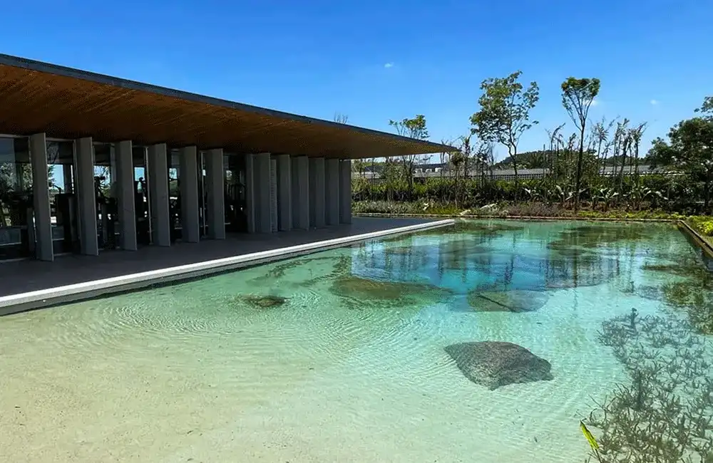 água cristalina de piscinas naturais 