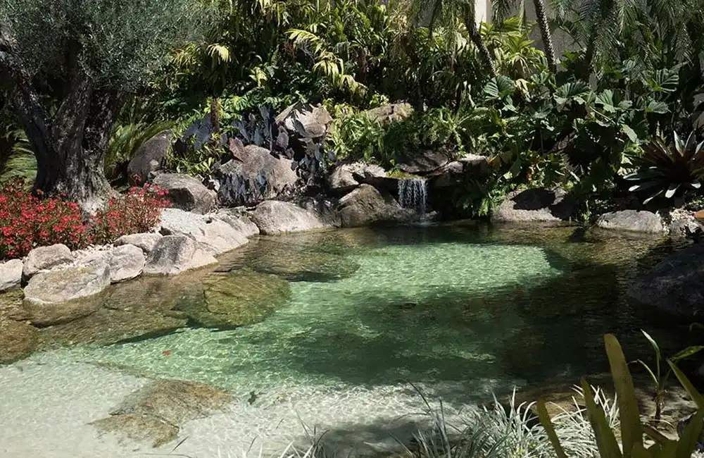 pedras e piscina natural