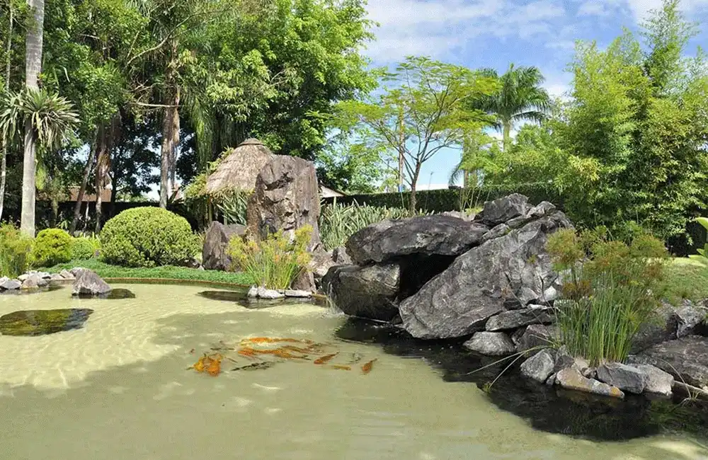 pedras naturais no paisagismo