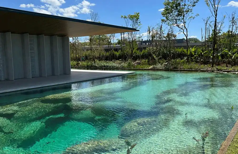 sustentabilidade no paisagismo