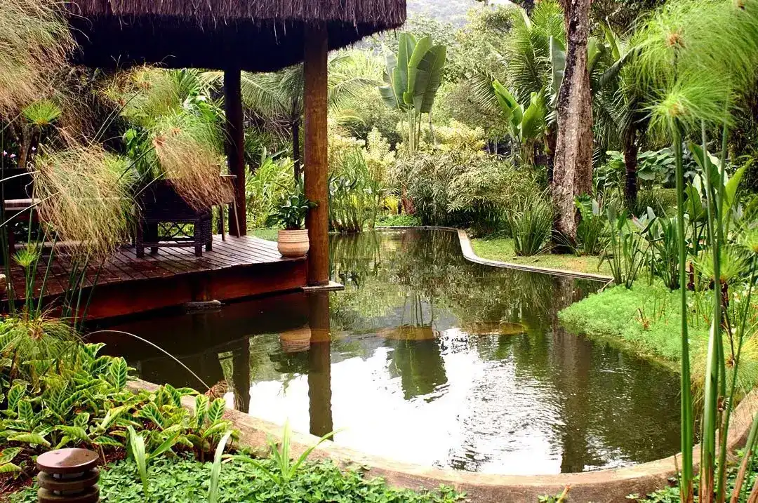 piscinas naturais com pergolado de madeira