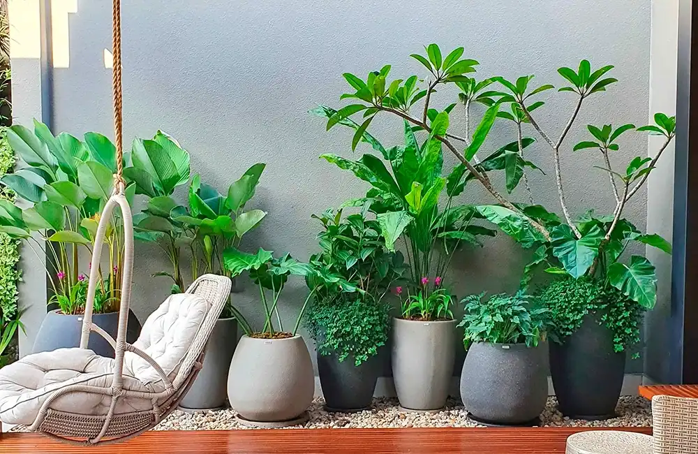 vasos para jardim com plantas