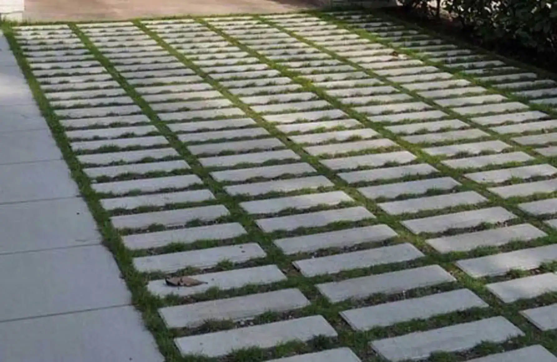 quintal com concregrama