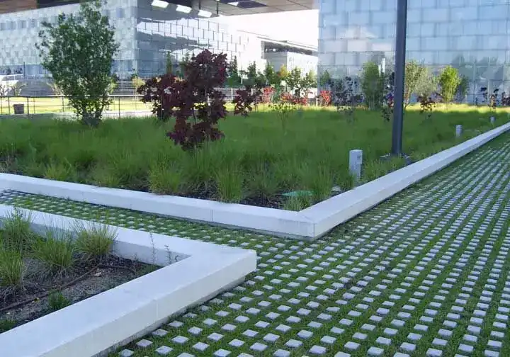 revitalização de concregrama