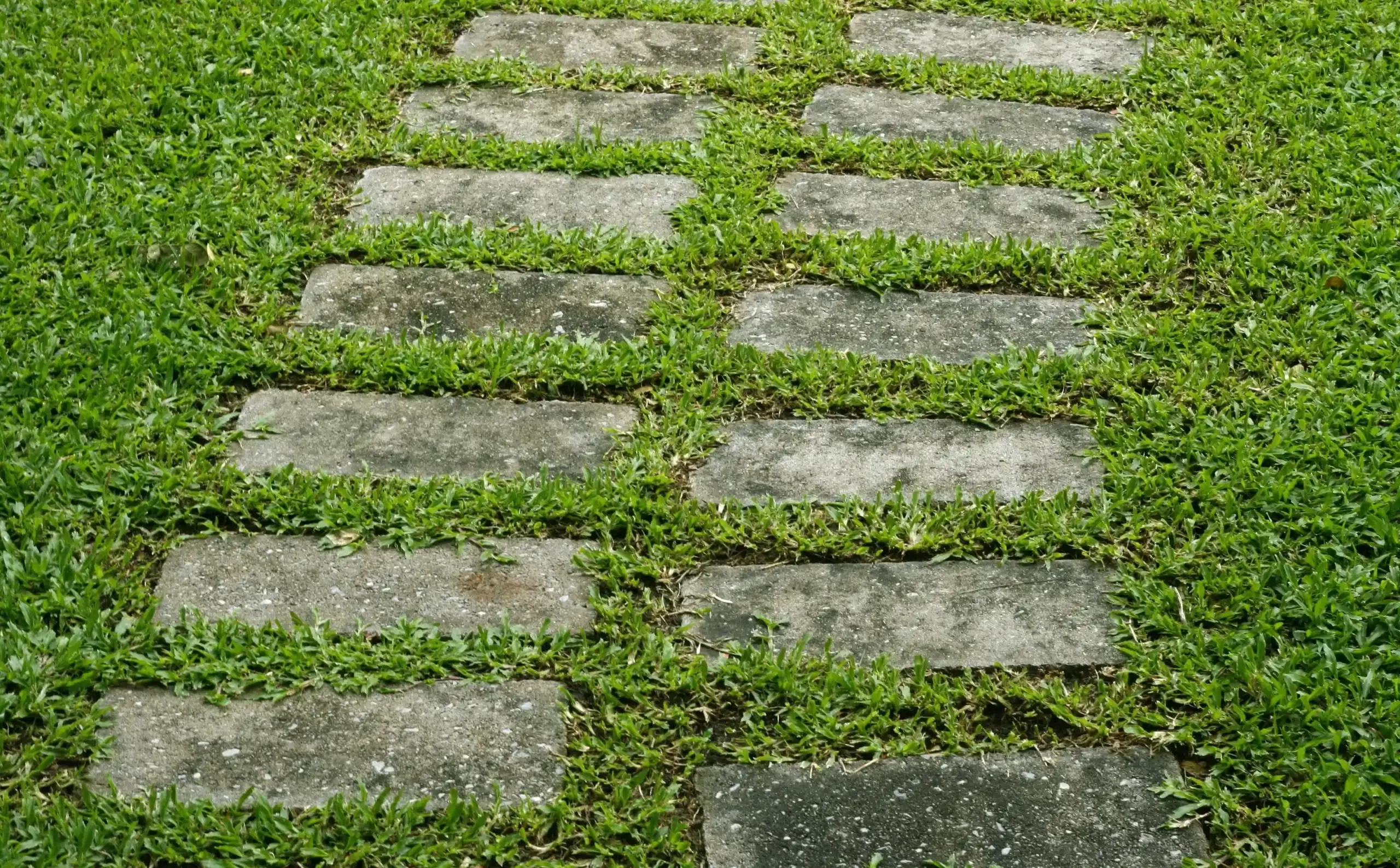 caminhos rustico de concregrama