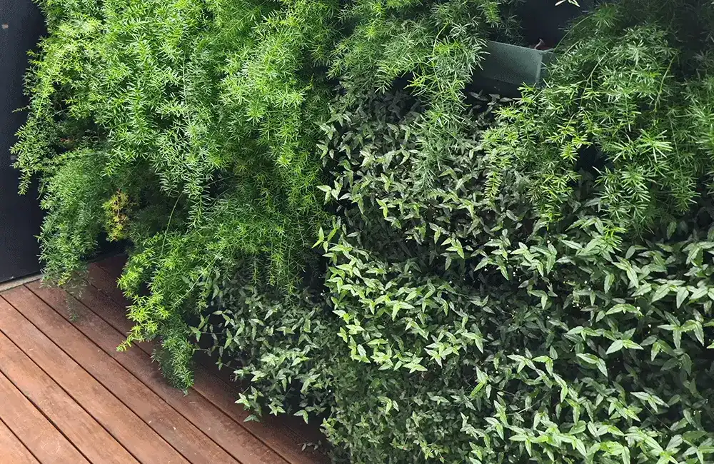 jardinagem com jardim vertical bem fechado