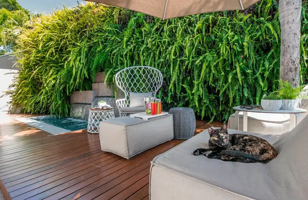 area de recreção com jardim vertical