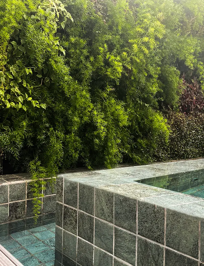paisagismo da área gourmet com piscina