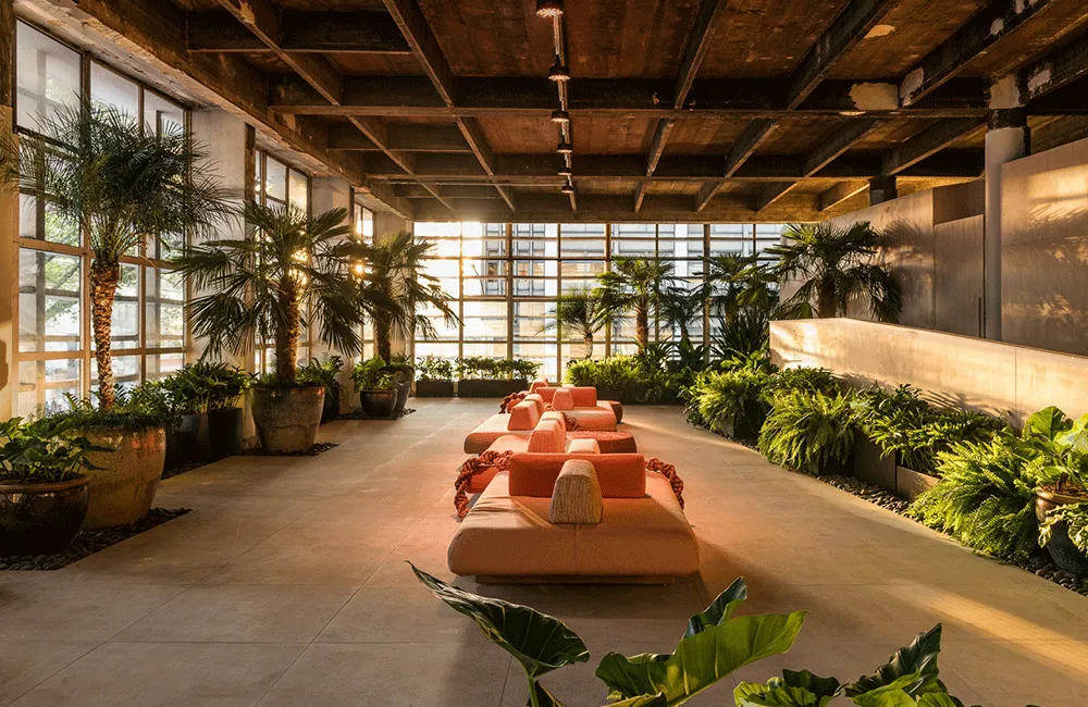 jardim minimalista capa