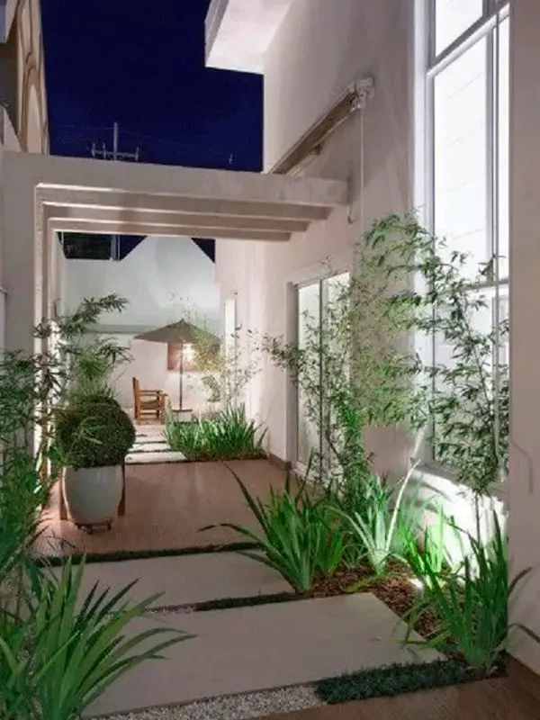 decoração com plantas