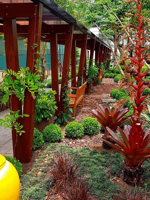 Pergolado de madeira com plantas no jardim