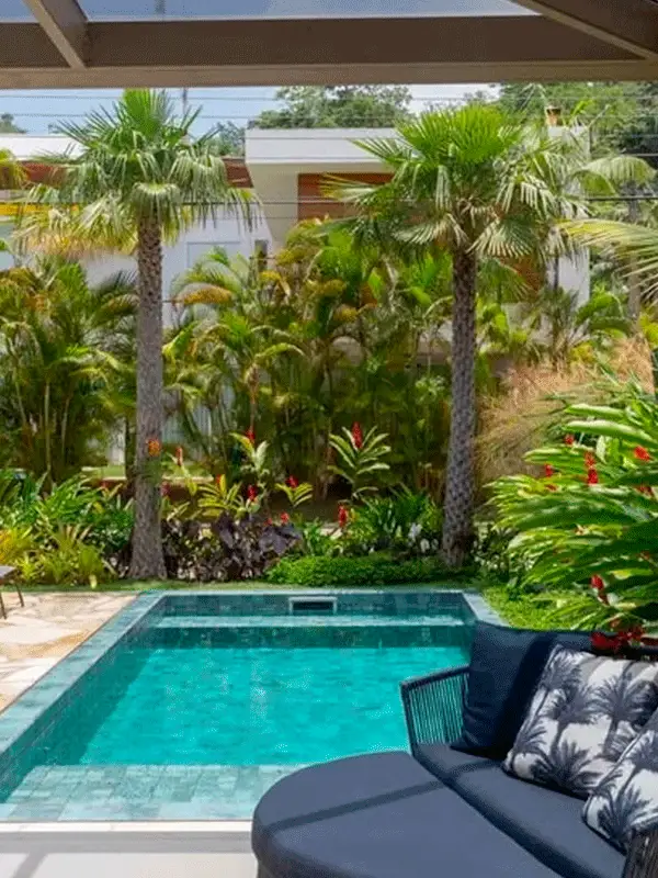 especies de plantas para piscina