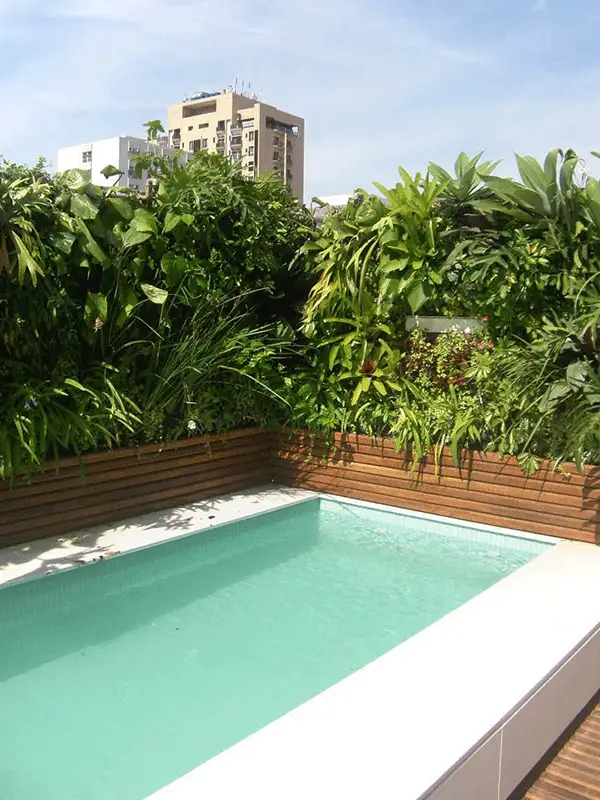 piscina com deck e jardim