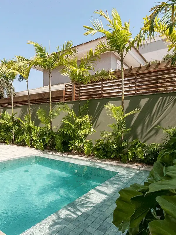 quintal com piscina e palmeiras 