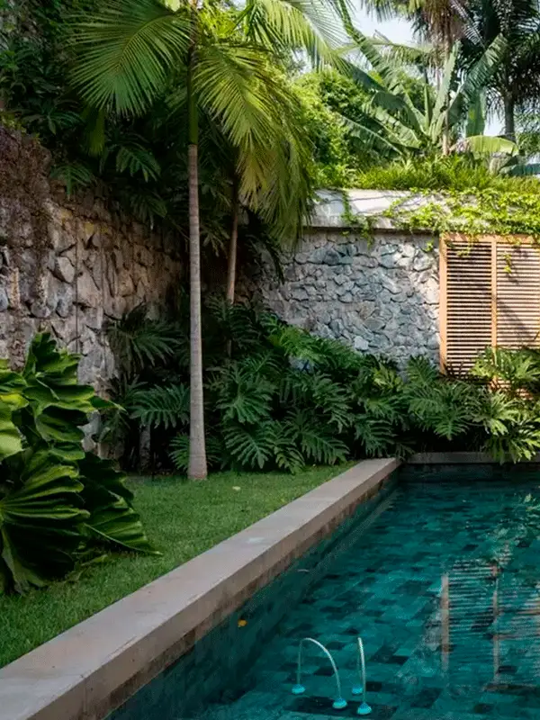muitas plantas para manter temperatura limpa 