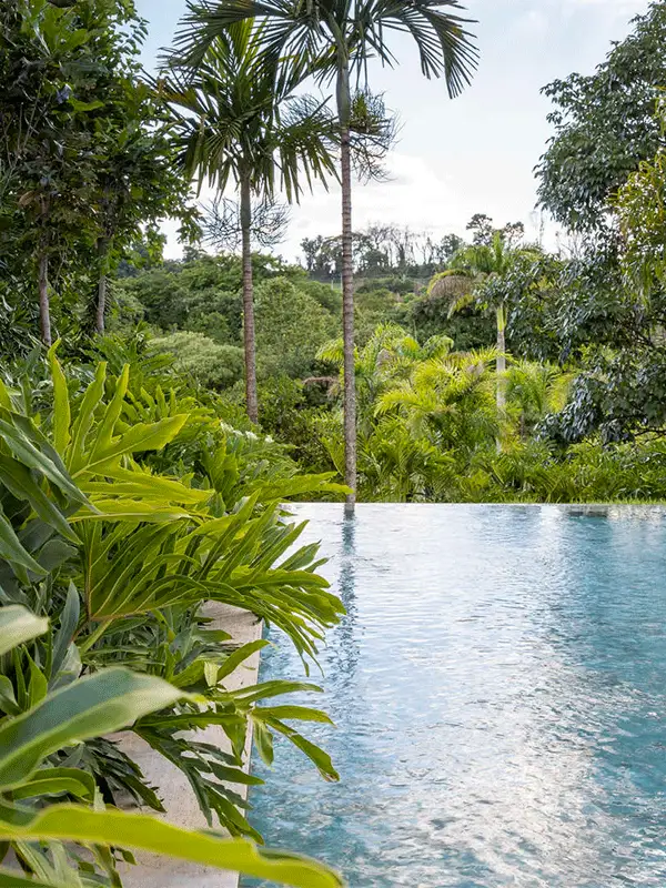 paisagismo simples para piscina no quintal
