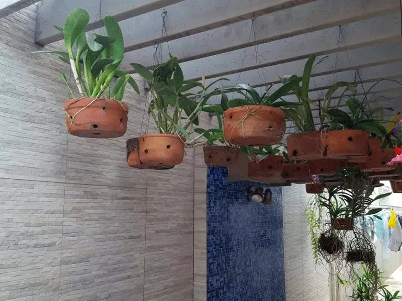 ambiente romantico com plantas pendurada