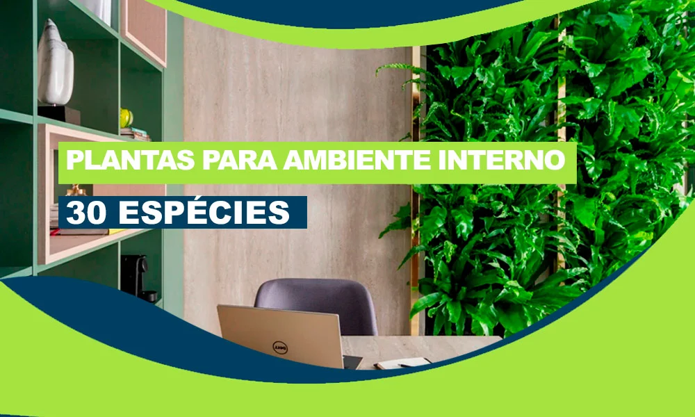 capa plantas ambientes interno
