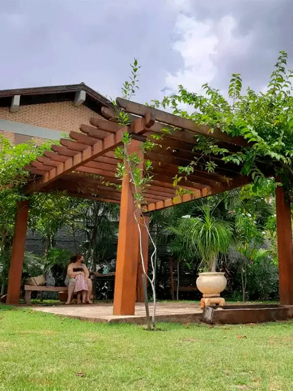 beleza natural do pergolado de madeira para jardim