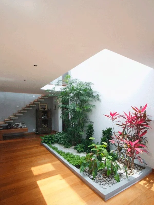 garden interno