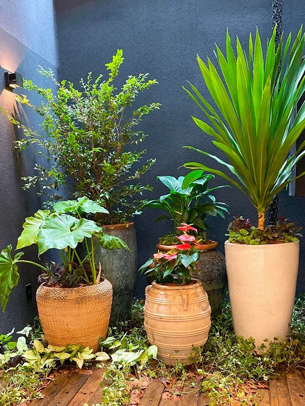 jardim sem cobertura