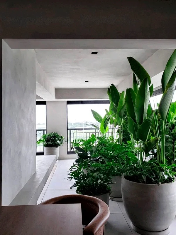 tamanho e estilo do jardim de inverno