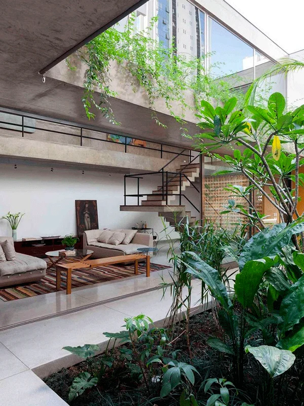projeto clean de arquitetura com jardim de inverno