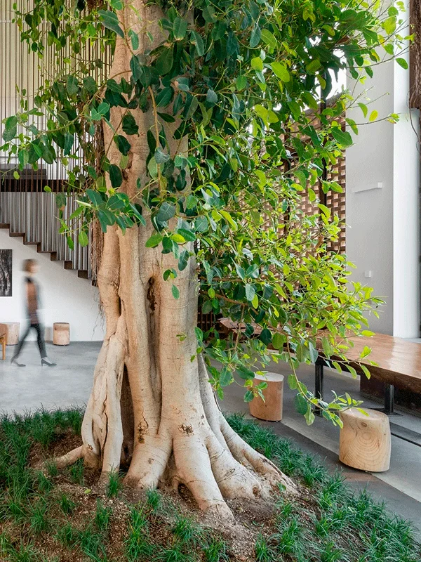 área de lazer pqeuna com jardim de inverno