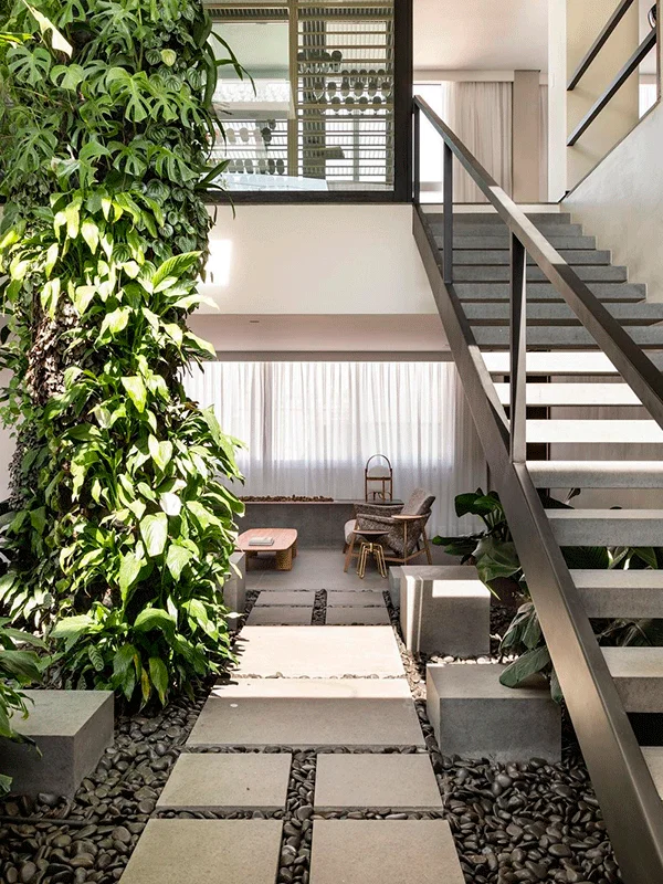plantas em ambientes interno