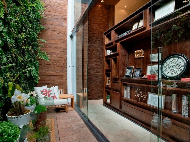 plantas aromaticas