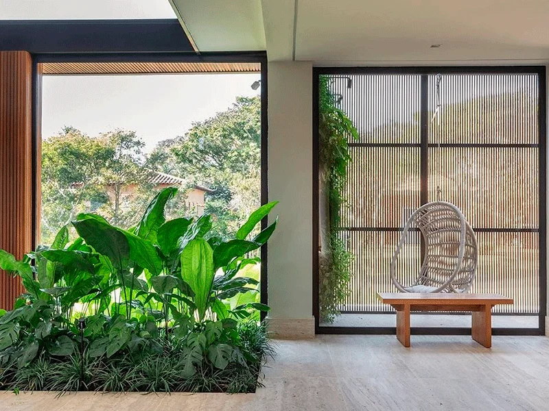 harmonia dos ambientes com plantas