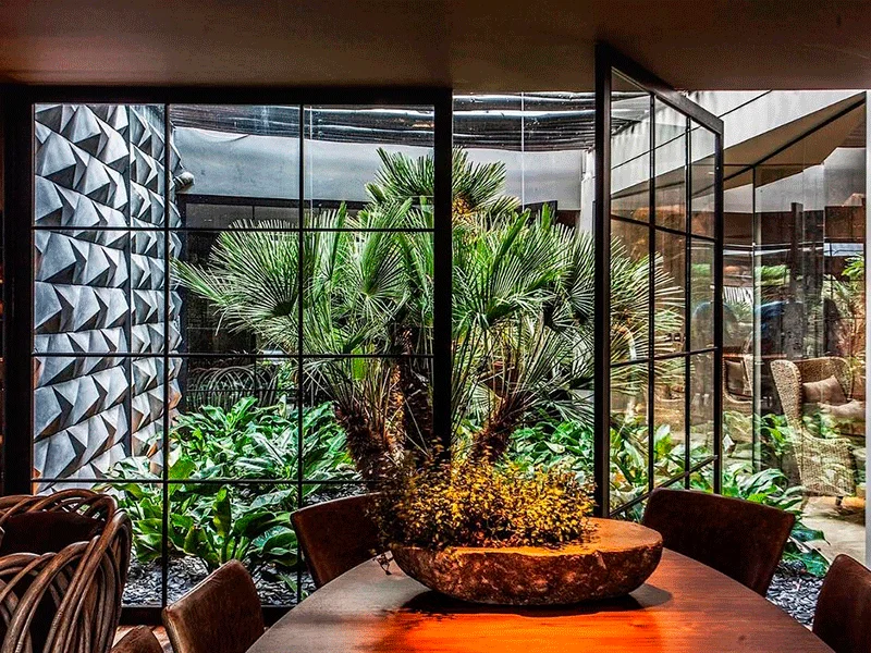 plantas para área externa
