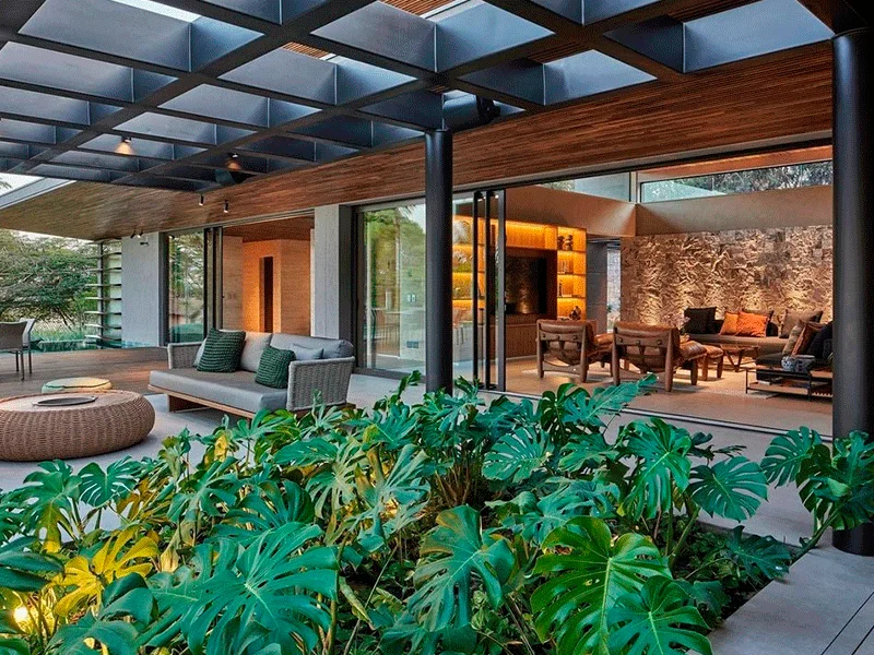 compocisão de plantas no ambiente interno