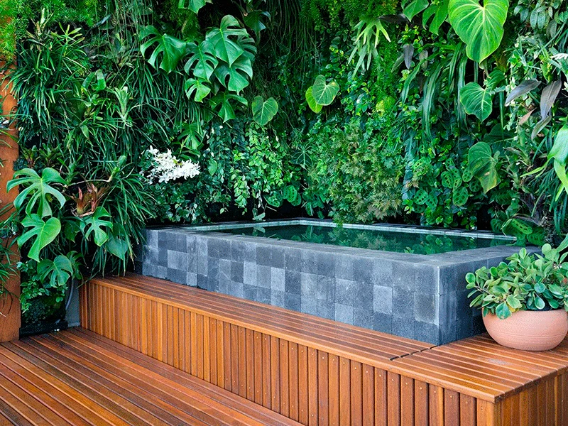 jardim vertical na parede da piscina
