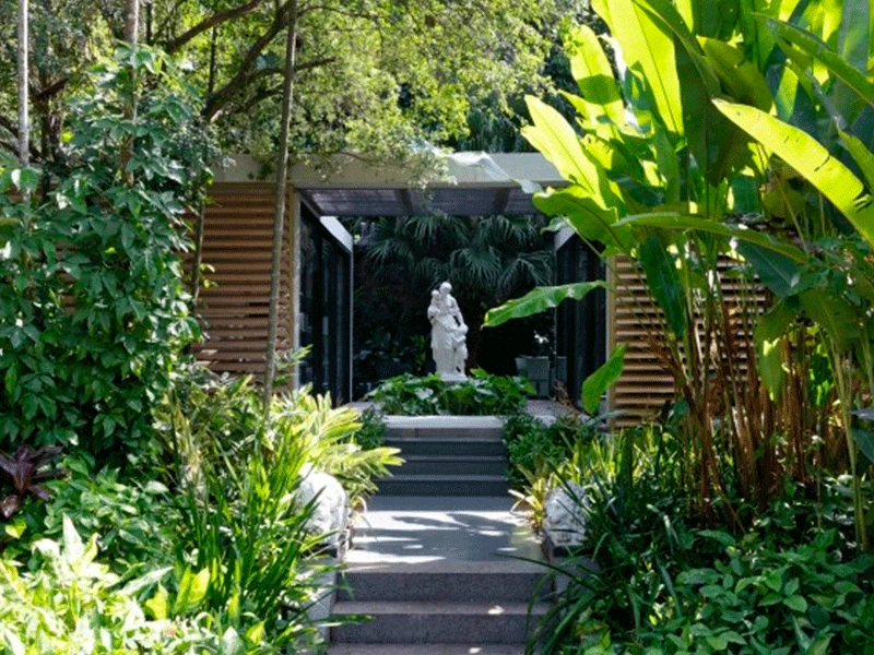 arvores jardim zen