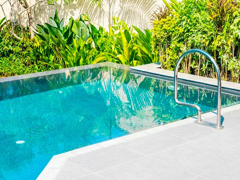 jardim com pisicna