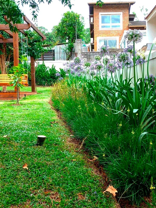 manutenção de jardim